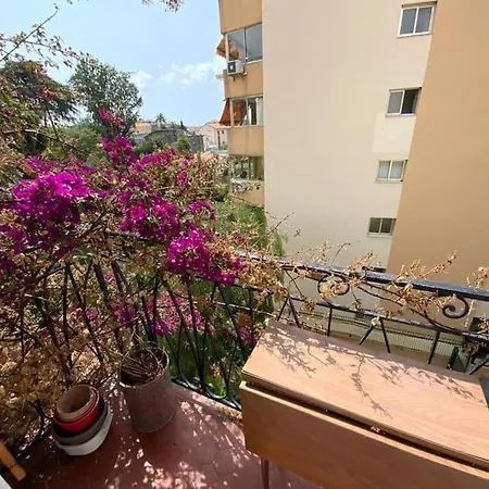 C043-agreable 3 Pieces Proche Croisette Et Plages